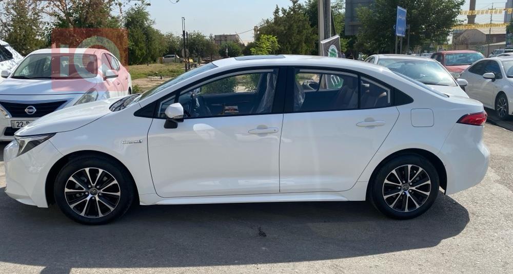 تويوتا كورولا